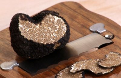 black-truffles-recipes-and-uses_RelatedC