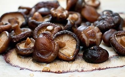 All About Umami | D'Artagnan