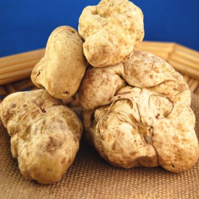 white-truffles-recipes-and-uses?$HomeMedium$