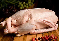 All-Natural Free-Range Goose All-Natural Free-Range Goose