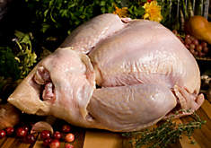 Heritage Turkey Heritage Turkey